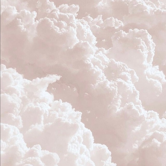 Meet your Posher, Bailey - Picture 1 of 1